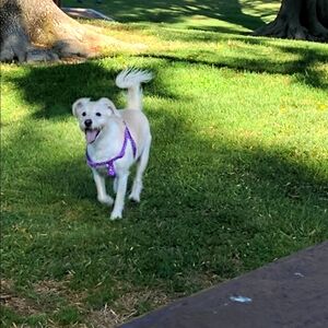 Meet your Posher, Veronica